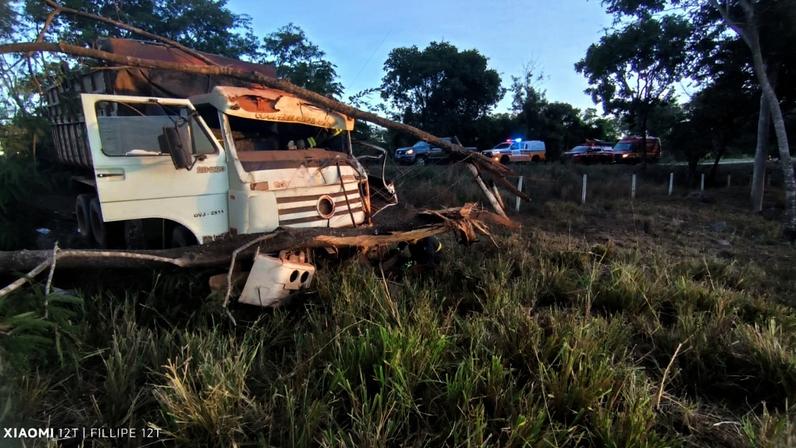 Com o impacto da batida, a árvore caiu sobre a pista e interditou o tráfego