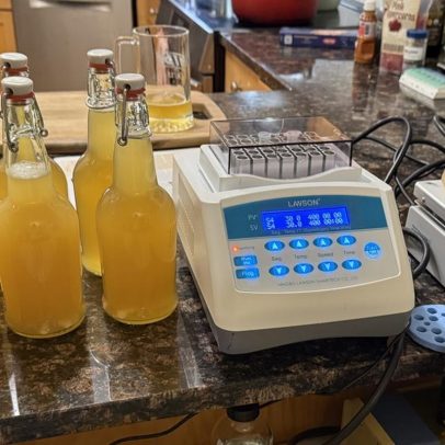 Cientista propõe cerveja como alternativa à vacina