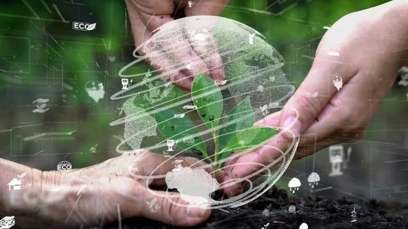Mercado de carbono pode ajudar a reduzir emissões