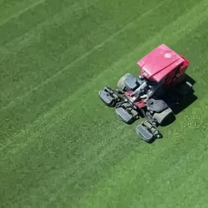 Ciência transforma campos de futebol americano em gramados de Copa