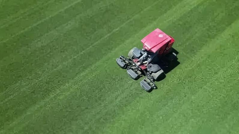 A grama usada nos estádios da Copa do Mundo em Atlanta, Houston e Dallas foi cultivada no Colorado