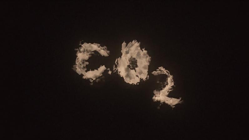 A estratégia de combate à crise do clima coloca as remoções quase exclusivamente nos setores de uso da terra, florestas e agropecuária, diz a articulista