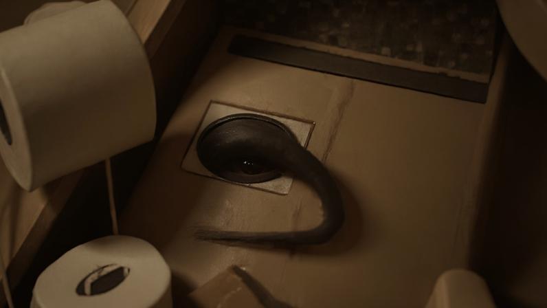Cobra de Silvia Abravanel é achada em um ralo na casa da apresentadora