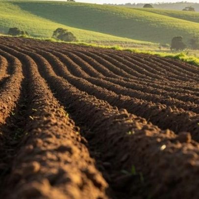 Codevasf destina R$ 118,8 mil maquinário a produtores de Santa Helena de Minas