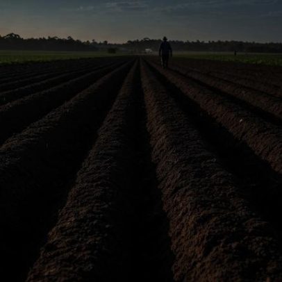 Codevasf doa equipamentos agrícolas de R$ 23,5 mil para associação em Flexeira