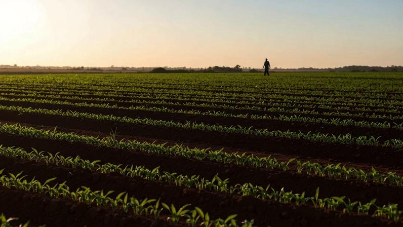 Codevasf doa R$ 179 mil em maquinário para agricultura familiar em Goiás