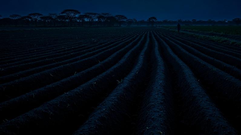 Codevasf doa trator e equipamentos de R$ 218 mil para associação rural na Bahia