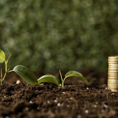 Economia florestal brasileira assume papel estratégico