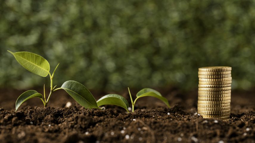 Degradação de ecossistemas aumenta a imprevisibilidade climática, eleva custos de seguro agrícola, compromete a segurança alimentar e amplia riscos sistêmicos para a economia.