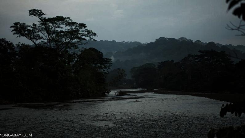 O que está em jogo para o meio ambiente na próxima eleição colombiana