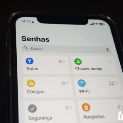 Como ver senhas salvas do iPhone pelo celular ou PC