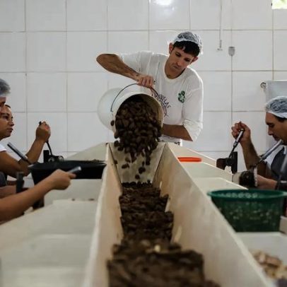 Nova lei reconhece o cooperativismo como manifestação da cultura nacional