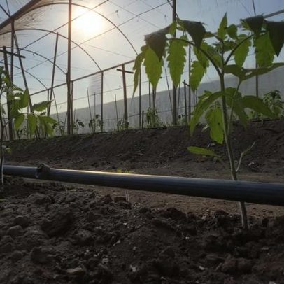 Jovens abandonam o campo em SP, colocando o futuro do agro em risco