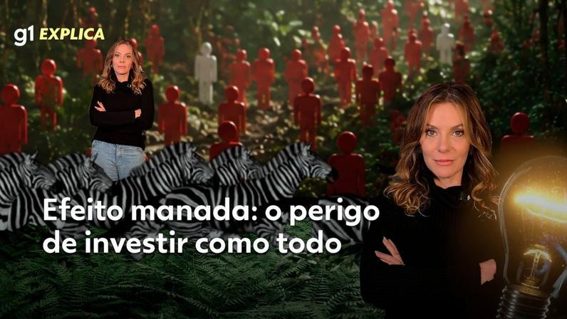 Como as modinhas de investimento prometem lucro fácil