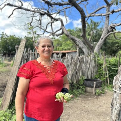 Microcrédito impulsiona o agro no Nordeste