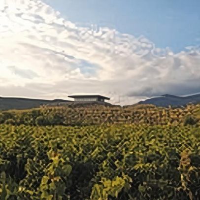 Guia de safras do Rioja traz vinhos vintage e avaliações