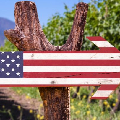 Sonho americano ao estilo francês, enólogos de fora buscam o vinhedo