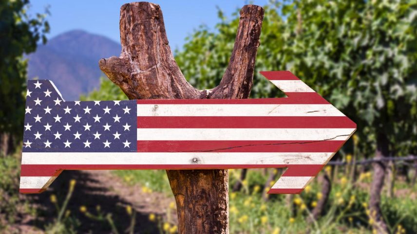 Sonho americano ao estilo francês, enólogos de fora buscam o vinhedo