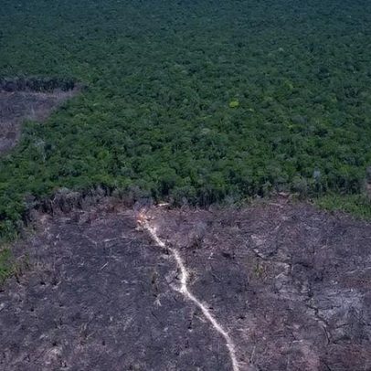 Justiça autoriza atuação da Força Nacional em áreas do ICMBio