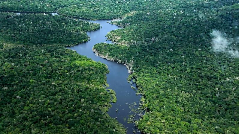Desmatamento no Amazonas cai 57% nos primeiros cinco meses de 2026, aponta Inpe