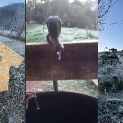 Dia mais frio do ano em SC: mais de 40 cidades ficam abaixo de 0°C com geada