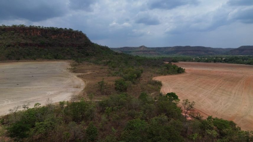 Desmatamento na Amazônia cai à medida que Brasil reduz perda de floresta