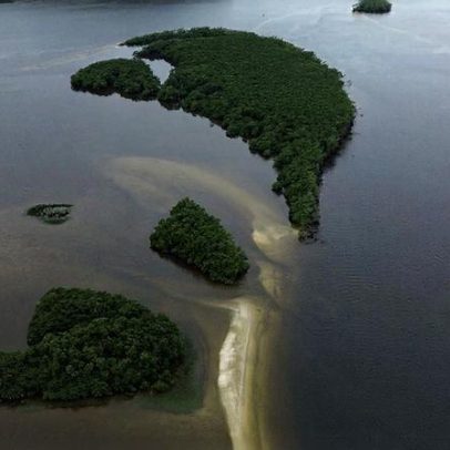 Carbono azul avança na agenda climática dos oceanos
