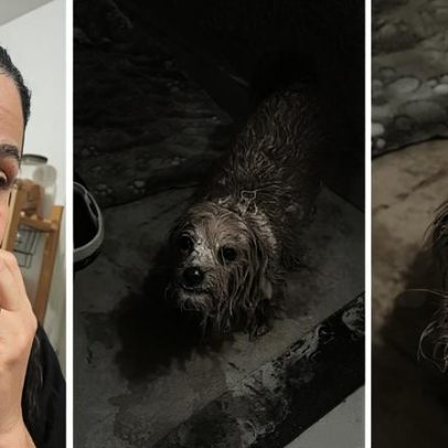 Mãe encontra cão em situação de calamidade que parecia ter reformado a casa