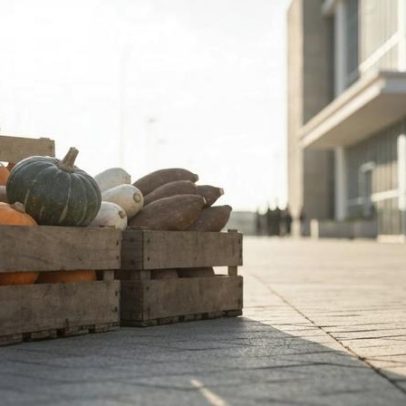 Doze municípios de seis estados aderem ao Programa de Aquisição de Alimentos.