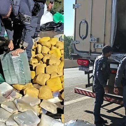 Quase 500 kg de drogas valendo R$ 10 milhões são apreendidas em SP