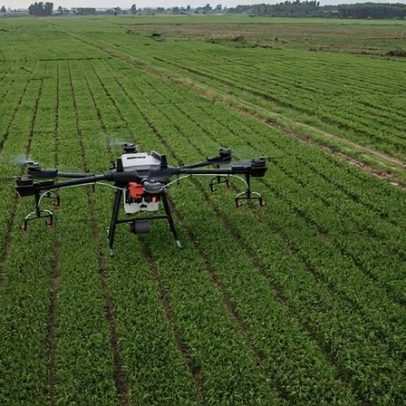 Boom agrícola da América Latina enfrenta obstáculos