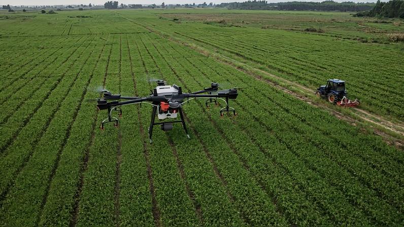 O crescimento impulsionado pelos fatores de produção é custoso, prejudicial ao ambiente e, em última análise, insustentável, diz a articulista; na imagem, drone sobrevoando uma plantação