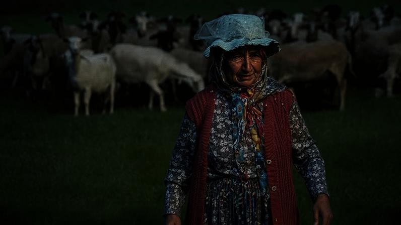 Comunidades pastoris dependem desses ecossistemas para alimentação, renda e preservação de modos de vida tradicionais. — Foto: UNCCD