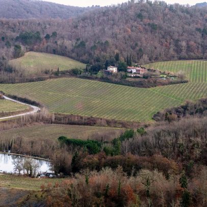Chianti Classico mostra apelo duradouro e resistência da Riserva