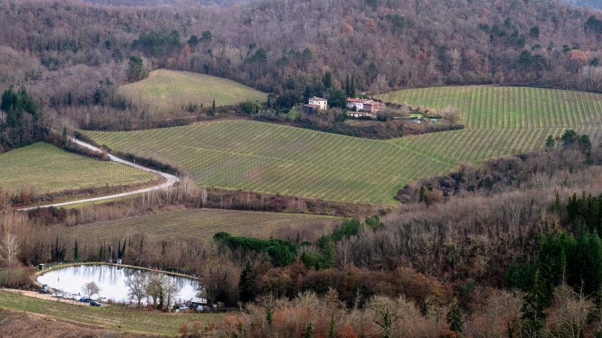 Castello di Querceto's Riserva is one of Michaela's top picks this year.