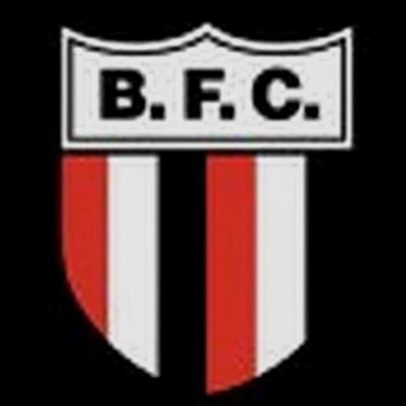 Botafogo-SP x Avaí-SC duel na Série B ao vivo pela CNN Brasil