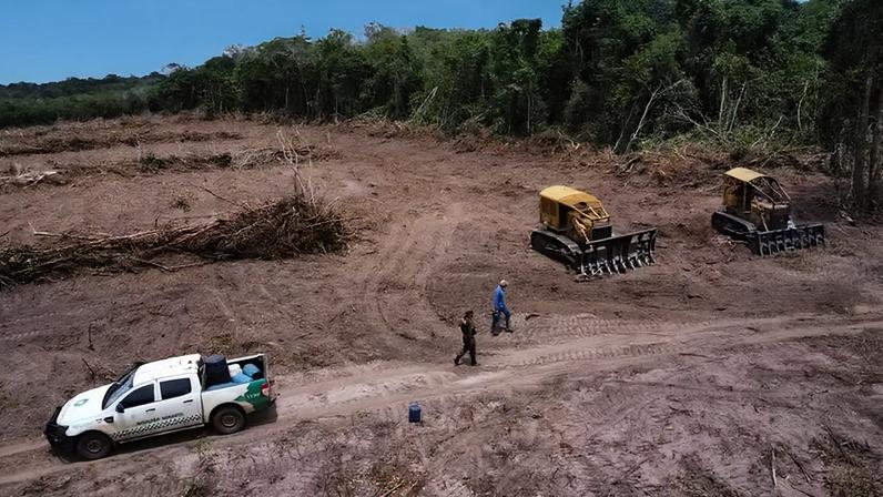 Desmatamento na Amazônia — Foto: - Foto: Polícia Militar Ambiental/Rondônia