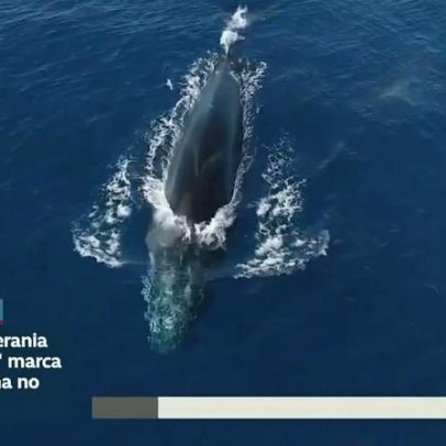 Mostra 'Soberania começa no mar' fica aberta no Senado até 12 de junho