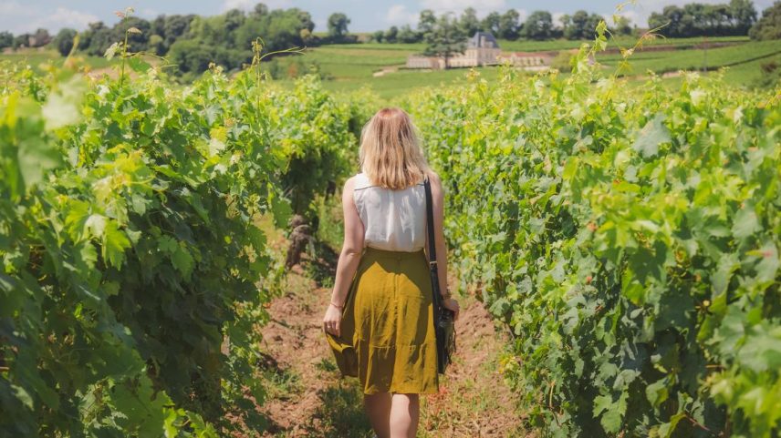 Turismo em Bordeaux resignifica castelos diante da queda do consumo de vinho