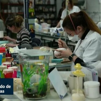 Senado aprova redução do limite de chumbo em tintas
