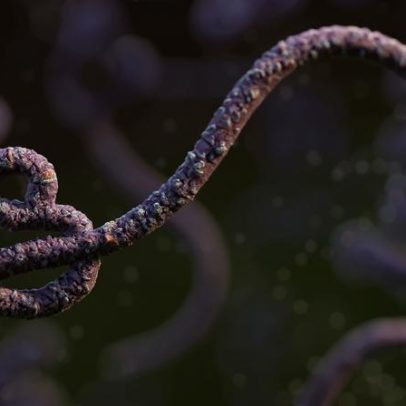 França confirma primeiro caso de ebola em médico vindo da RD Congo