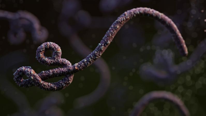Vírus Ebola, ilustração digital descarta paciente