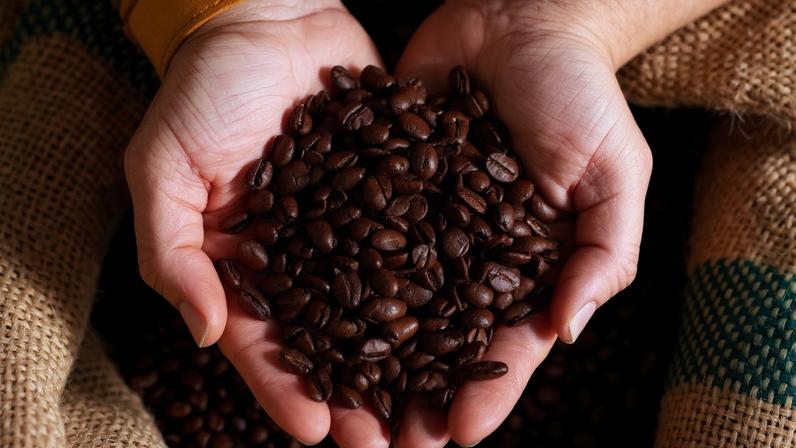 De cada cem xícaras de café produzidas no Brasil, 29 passaram por uma cooperativa em Minas.
