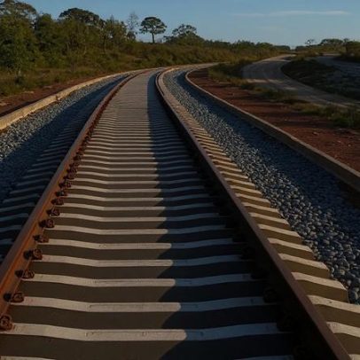 Governo espera aprovação rápida da Ferrogrão pelo TCU