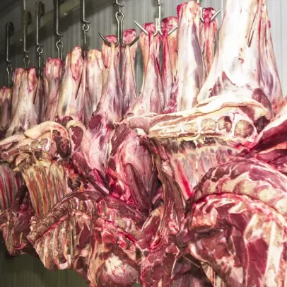 Abiec nega veto imediato da UE à carne brasileira e aponta prazo para adequação