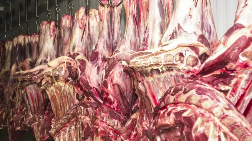 Abiec nega veto imediato da UE à carne brasileira e aponta prazo para adequação