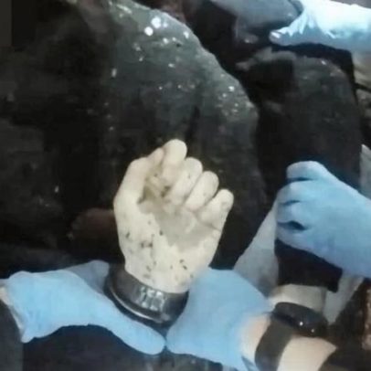 Assassinato de Nowak: momentos-chave de imagens de câmera corporal policial