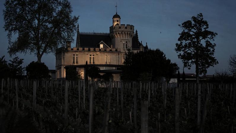 Pessac-Léognan: 10 vinhos tintos para comprar na safra 2025