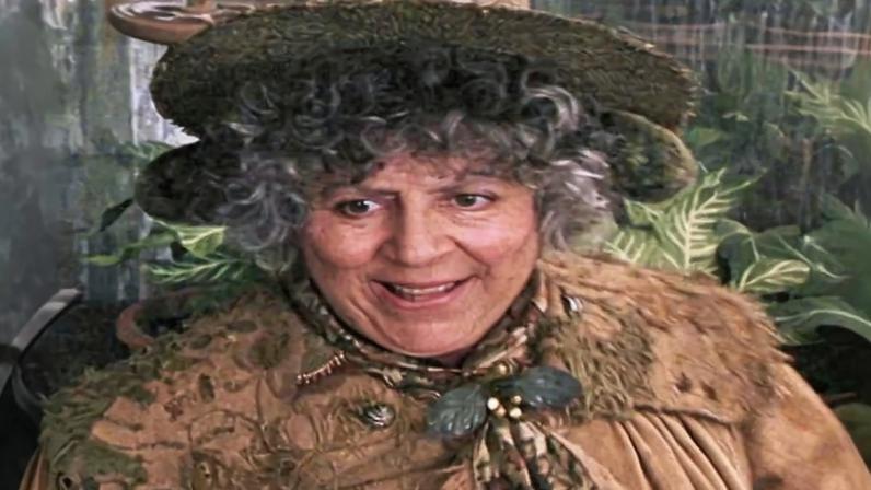 Miriam Margolyes em Harry Potter e a Câmara Secreta e Arnold Schwarzenegger em O Vingador do Futuro