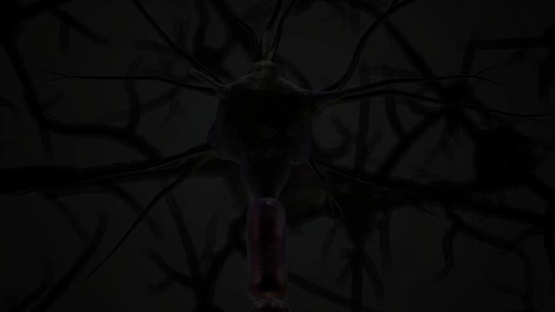 Doença autoimune: Estima-se que 2,8 milhões de pessoas têm a doença no mundo e 40 mil no Brasil. A maioria dos diagnósticos é de pessoas com 20 a 50 anos de idade, com ocorrência em mulheres duas a três vezes maior do que em homens (Lakshmiraman Oza/Pixabay/Reprodução)